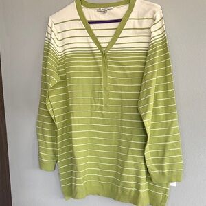Liz Claiborne Striped Green and White V-Neck Sweater 1X